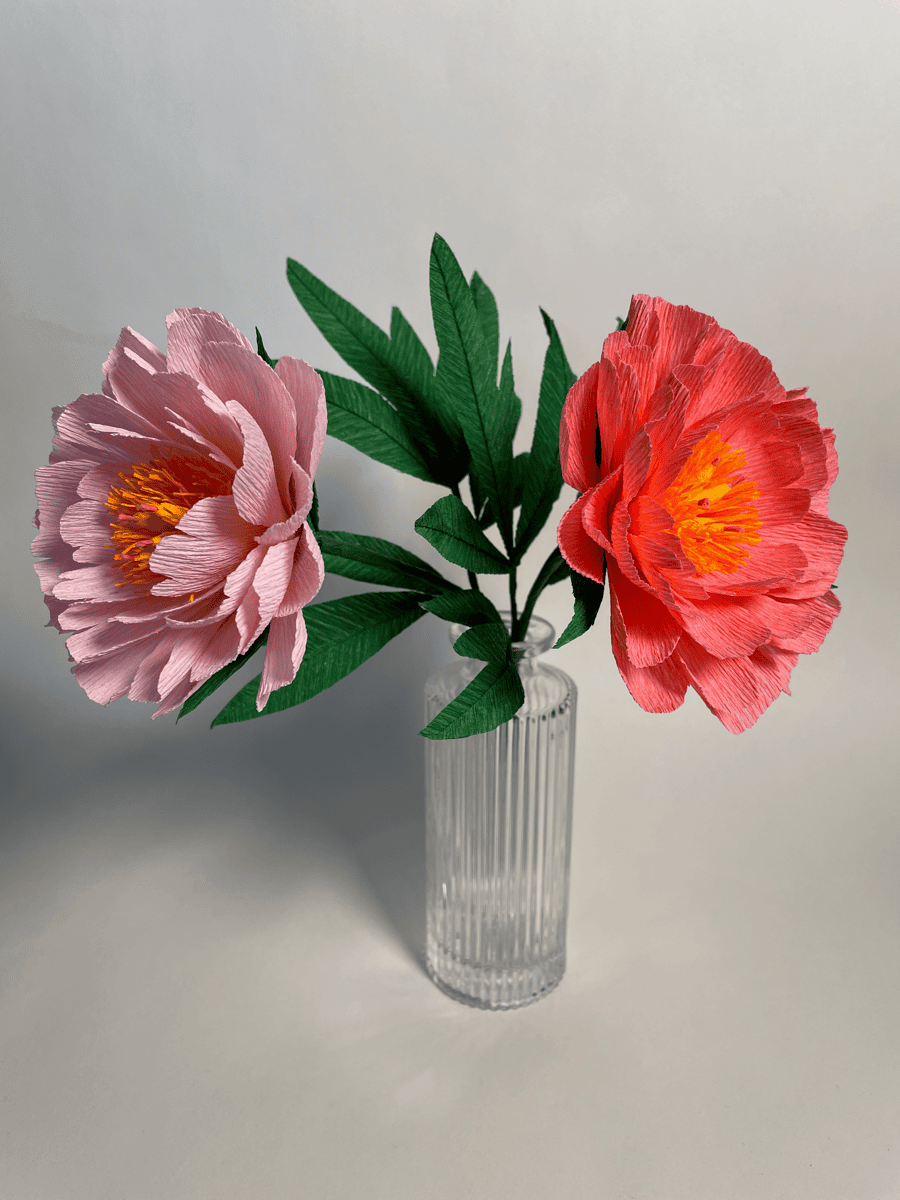 Pink and coral peonies