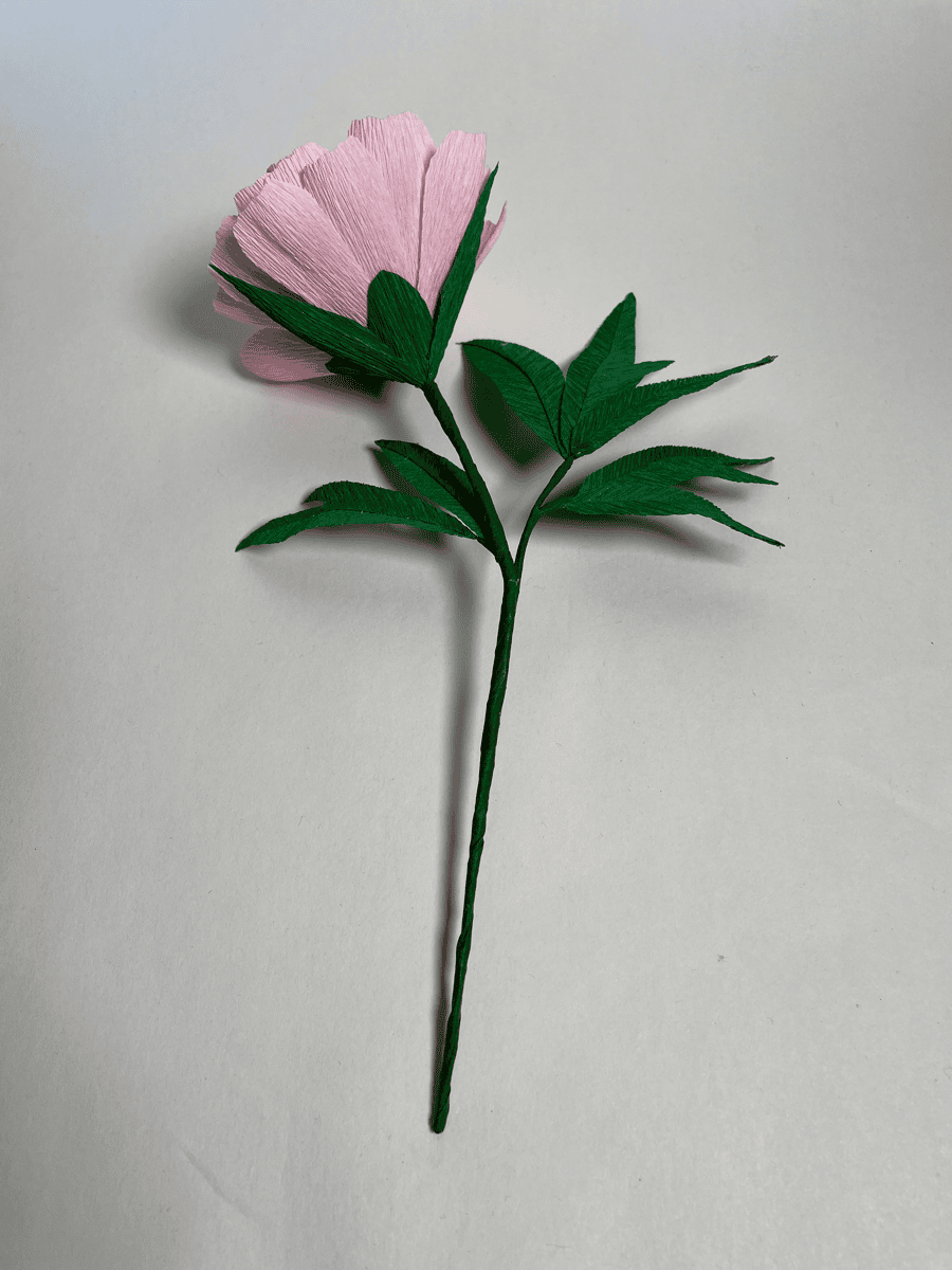 Pink flower