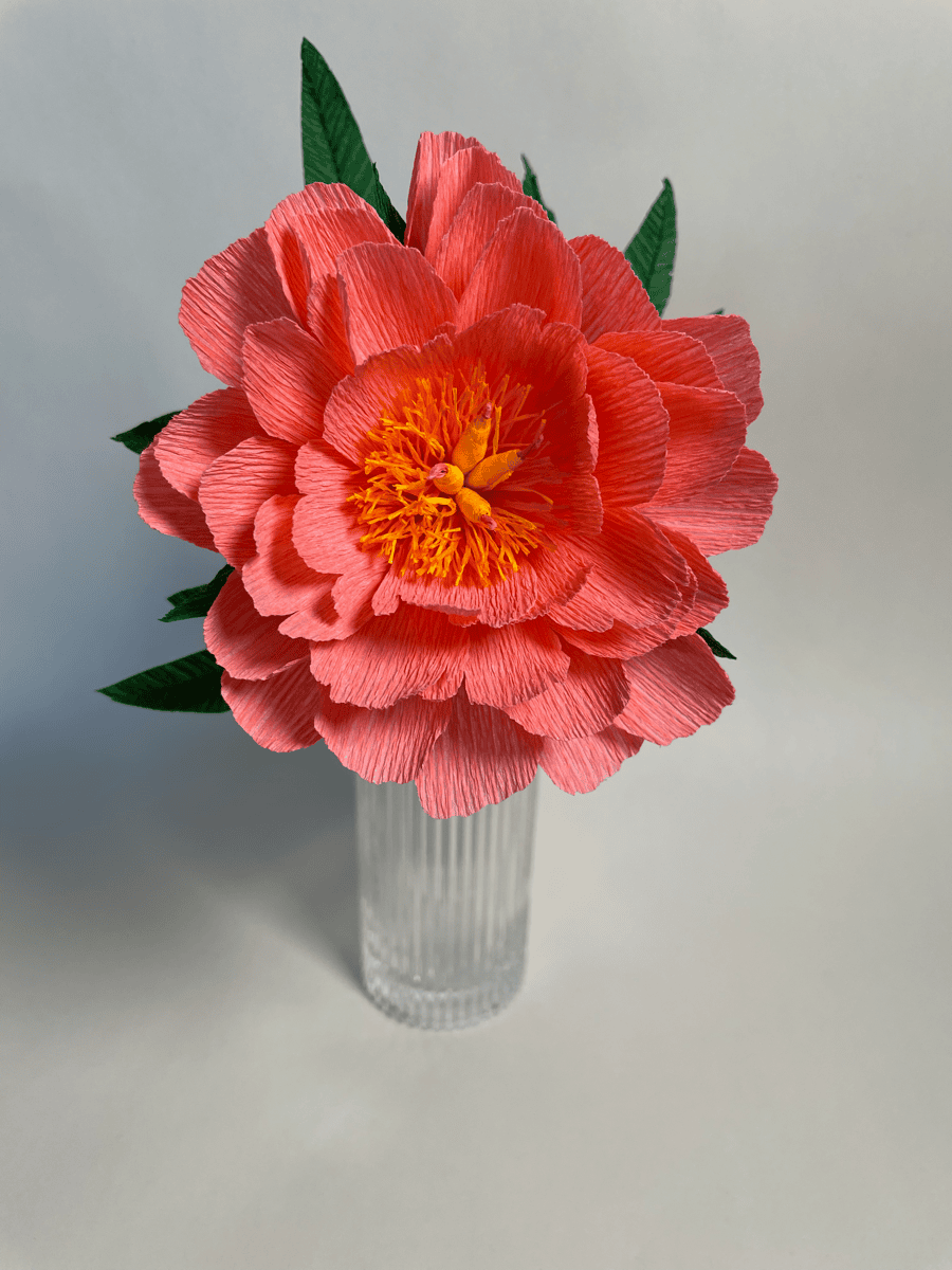 Coral peony